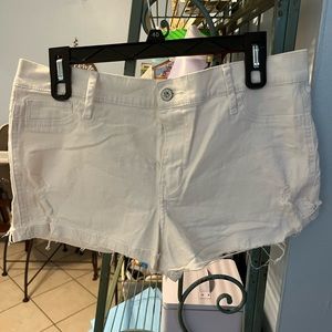 Hollister Daisy Dukes